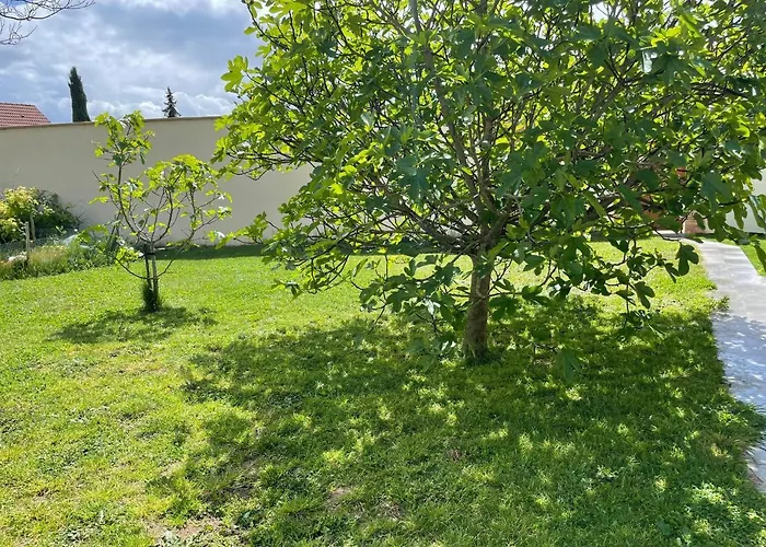 Confortable Avec Piscine, Parking Et Wi-fi A - Fr-1-410-399 *