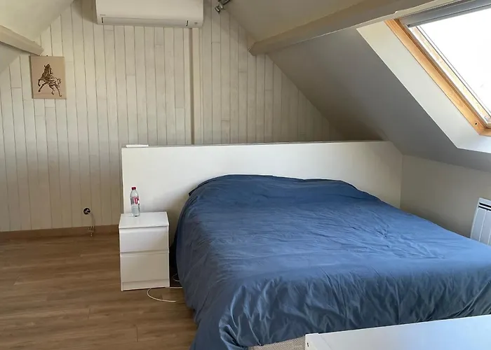 Сasa de vacaciones Confortable Avec Piscine, Parking Et Wi-fi A - Fr-1-410-399 La Suze-sur-Sarthe